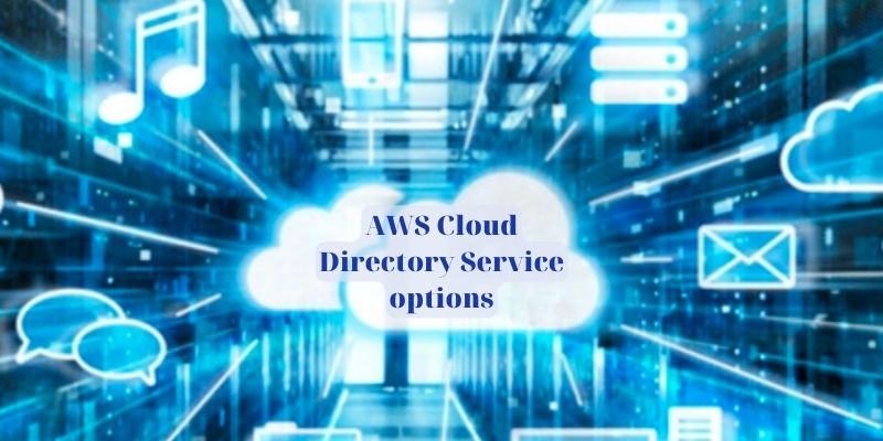 AWS Cloud Directory Service options