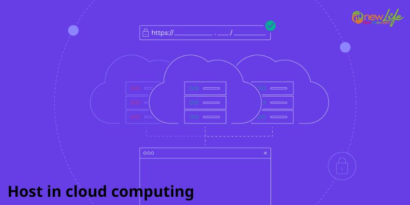 Host in Cloud Computing: Unleashing Scalability