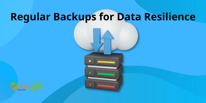 Regular Backups for Data Resilience